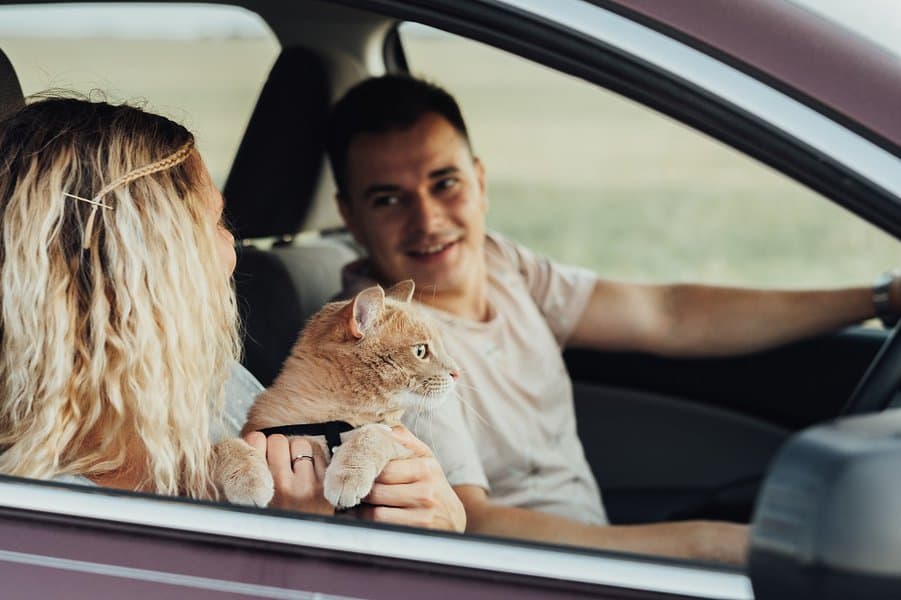 夫妇和他们的猫享受公路旅行
