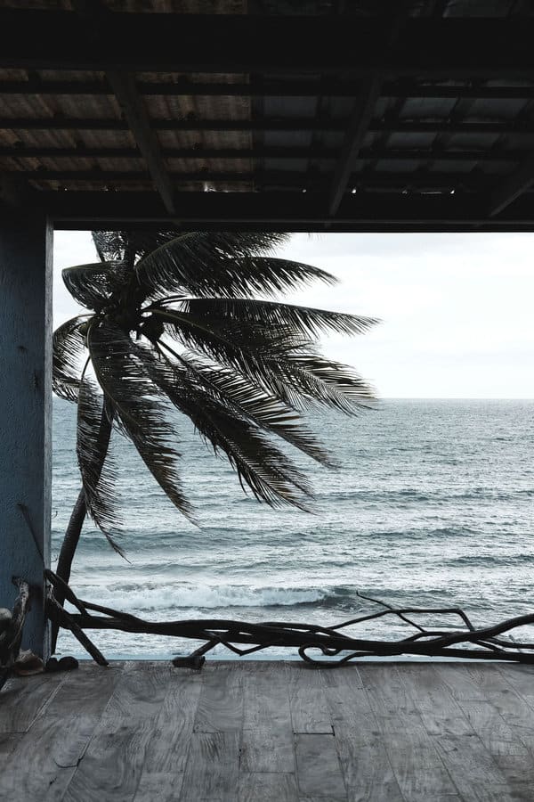 海滩甲板的看法与棕榈树