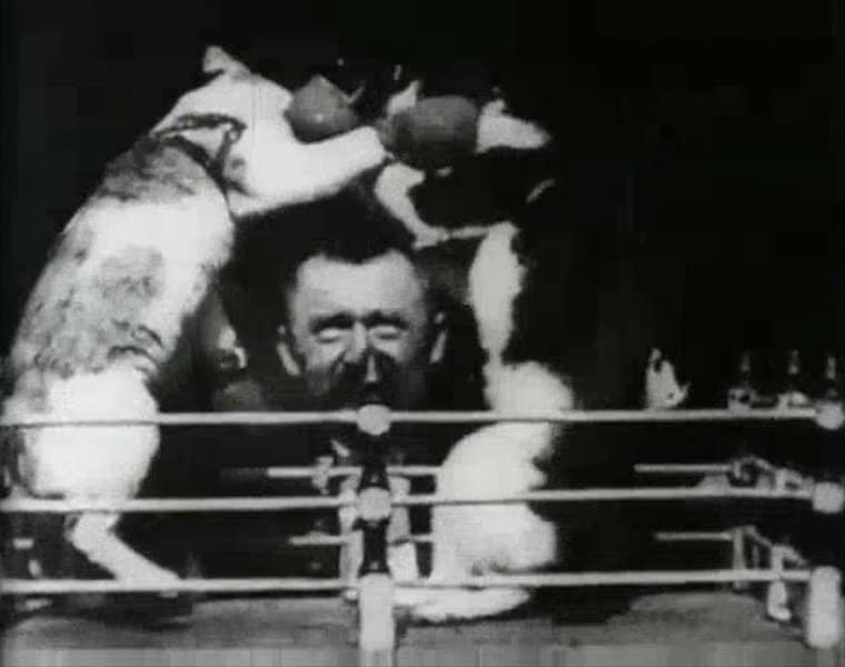 托马斯·爱迪生在1894年制作了第一个猫视频